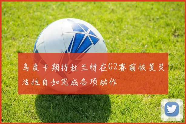 乌度卡期待杜兰特在G2赛前恢复灵活性自如完成各项动作