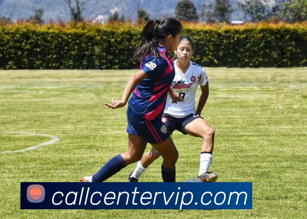 辅助工具